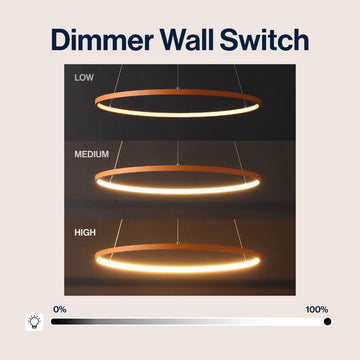 Brice Modern Contemporary Iron Integrated LED Pendant